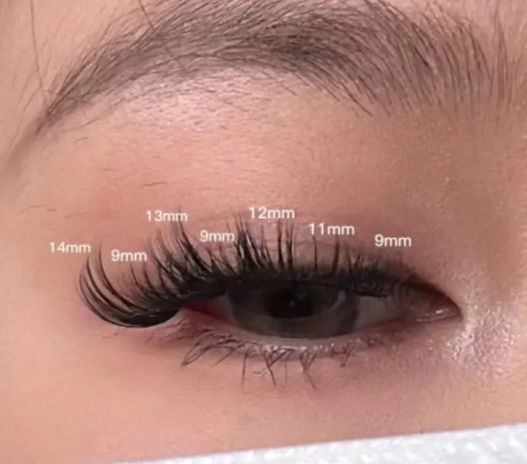 MIKIWI Eyelash Clusters 30D-40D (Pre-Order)