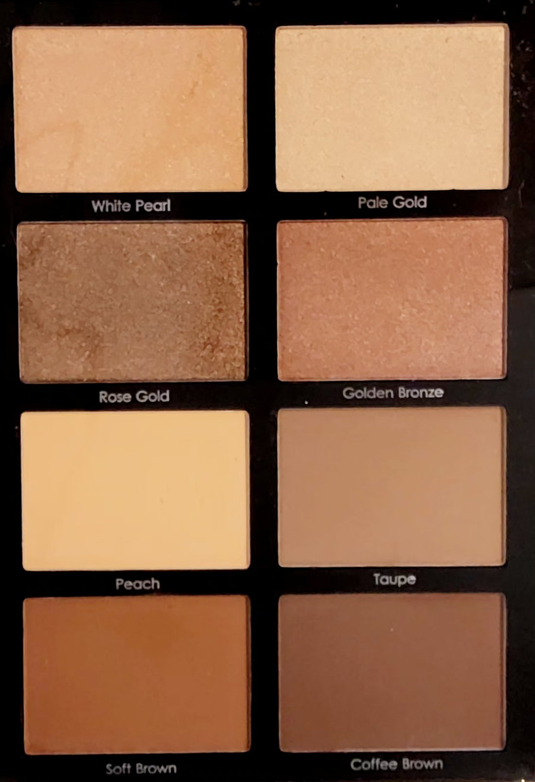 PROFUSION Bronzer & Highlighter Book with 2 Brushes and a Mirror