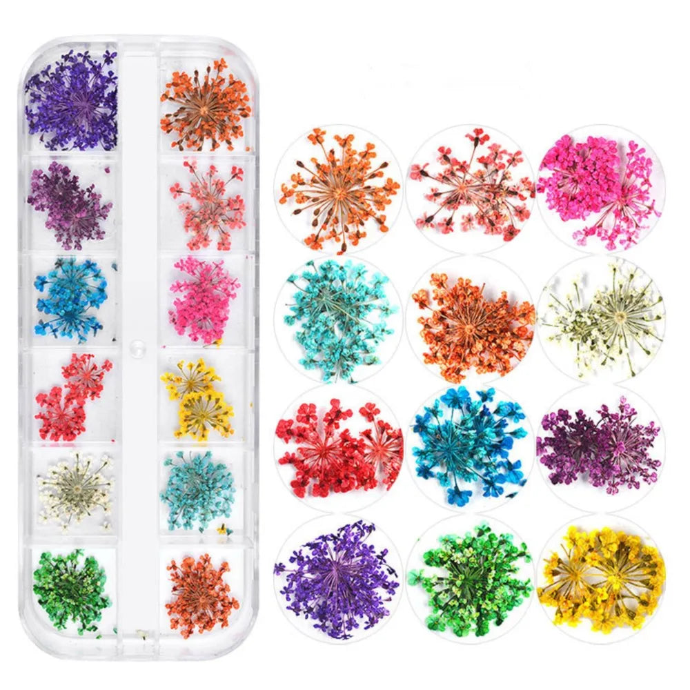 12 Color/Box 3D Dried Flower Nail Decoration Natural Floral Mixed Dry Flower DIY Jewelry Charms UV Gel Polish Nail Art Decals 